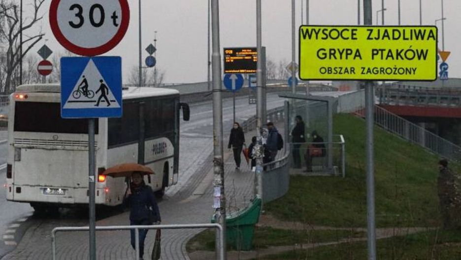Północna część Wrocławia obszarem zagrożonym z powodu ptasiej grypy.