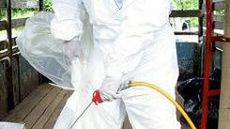 Dezynfekcja na kurzej fermie