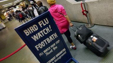 Ostrzeżenia o ptasiej grypie na filipińskim lotnisku