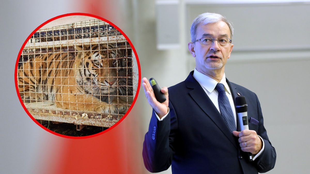 Jerzy Kwieciński ministr finansów, inwestycji i rozwoju.