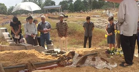 Pies żegna swoją panią. Ten widok łamie serce