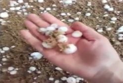 Mazury. Grad wielkości piłeczek do golfa. "Czy niebo chce z nami zagrać?"