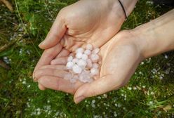 Pogoda. Ostrzeżenia IMGW. "Wysoki indeks burzowy". Grad wielkości piłeczek