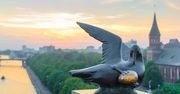 Kaliningrad. Tropem Bursztynowej Komnaty