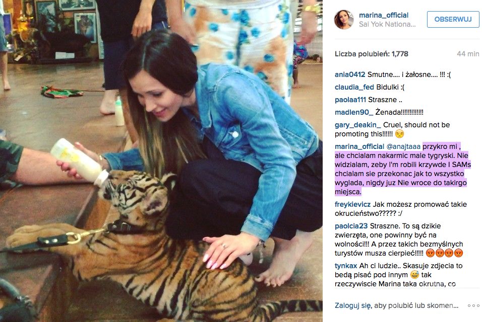 Marina Łuczenko na Instagramie pokazała wideo jak karmi tygrysa w Tajlandii