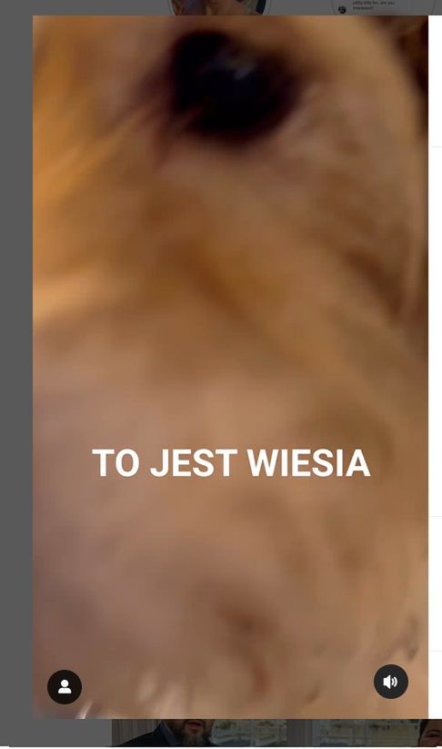 Zofia Zborowska jest w ciąży