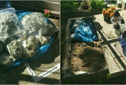 Nietypowe znalezisko pod płytą grobu. Policjanci najpierw zobaczyli coś niebieskiego