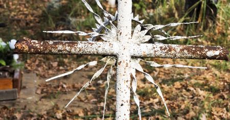 Tajemnica grobu na Białołęce. Sprawdzą cały teren