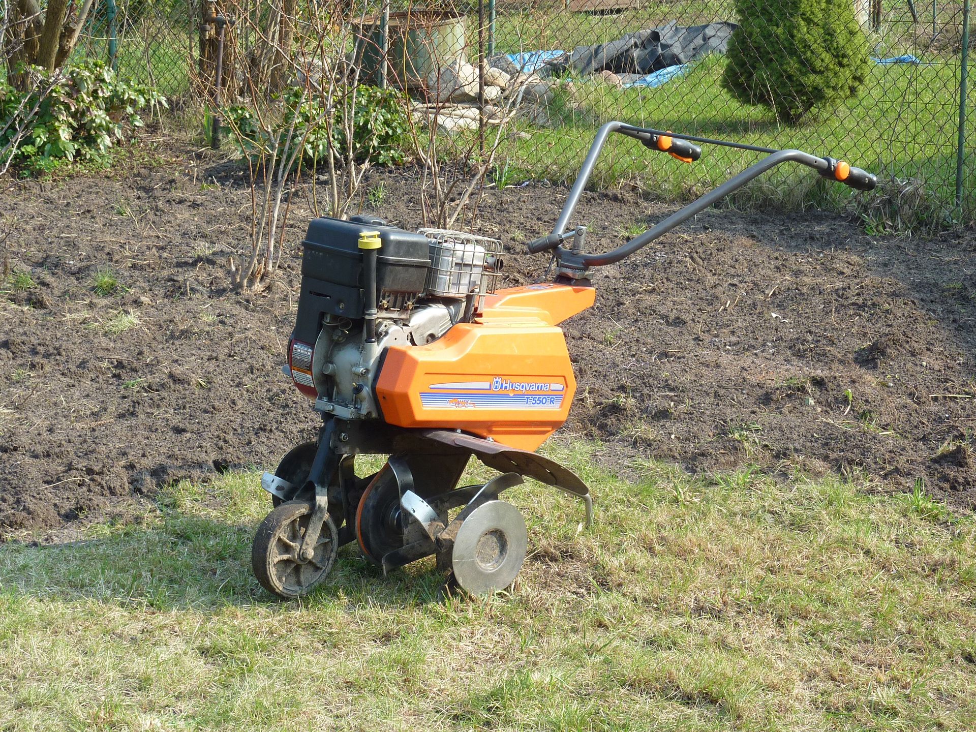 glebogryzarka ogrodnicza 