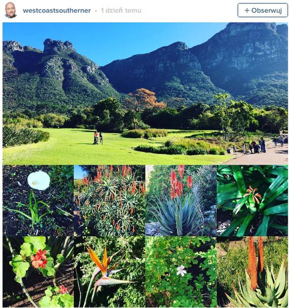 Kirstenbosch National Botanical Gardens, RPA