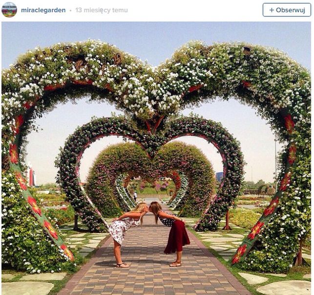 Dubai Miracle Garden, Zjednoczone Emiraty Arabskie