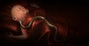 Zapowiedziano Crusader Kings 3