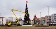 To są jaja… Kogut na choince