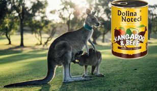 Nakarm psa kangurem za 10 zł. Polska firma wprowadza egzotyczny produkt