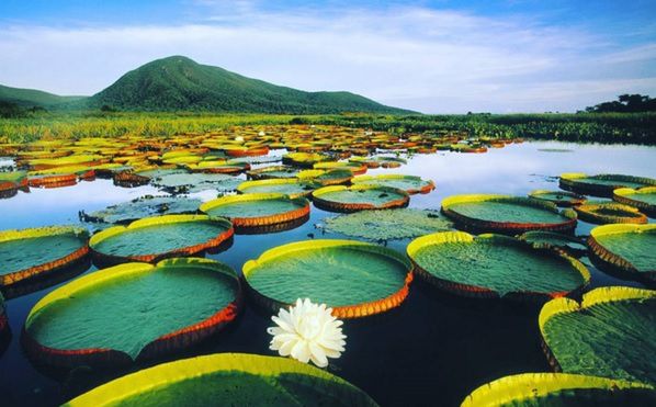 Odwiedź te miejsca, zanim będzie tam pełno turystów