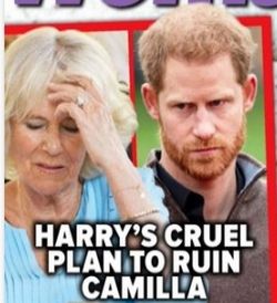 Harry ma plan jak zrujnować Camillę