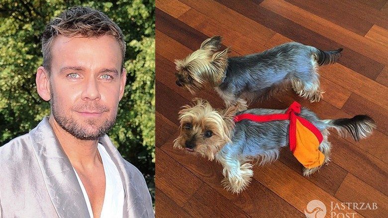 Dawid Woliński i Frania i Józia Woliński (fot. ONS, Instagram)