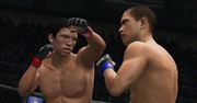 Będą się bić - galeria z UFC Undisputed 3