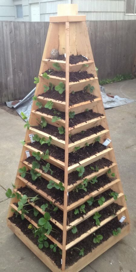 Vertical Garden Pyramid