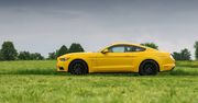 Ford Mustang najpopularniejszym coupé świata