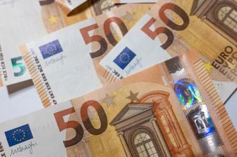 Wspólna waluta. Polska blisko spełnienia wymogów euro