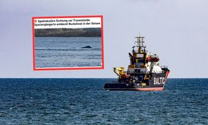 Niemka spacerowała nad Bałtykiem. Usłyszała huk. "Ogromne zwierzę"