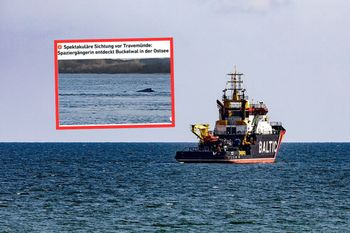 Niemka spacerowała nad Bałtykiem. Usłyszała huk. "Ogromne zwierzę"