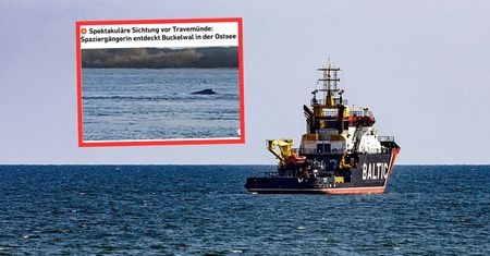 Niemka spacerowała nad Bałtykiem. Usłyszała huk. "Ogromne zwierzę"