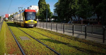 Warszawa. Zielone tory bez trawy. I bez kontrowersji z koszeniem