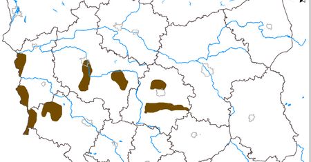 Surowce naturalne w Polsce. Pamiętasz ten temat z lekcji geografii?