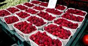 Maliny i borówki coraz tańsze. Ile zapłacimy za świeże owoce?