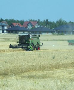 Horror na polu. Kombajn wciągnął rolnika