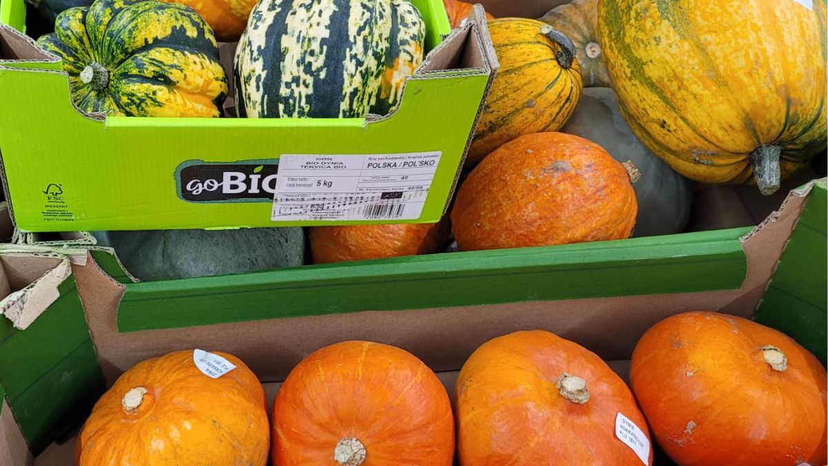 Niektóre dynie na Halloween możesz przerobić na zupę