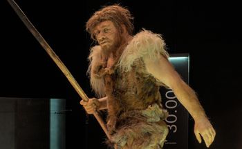 Nowe badania zmieniają ich obraz. Co naprawdę jedli neandertalczycy?