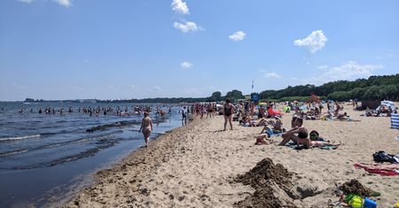 Śmierdzący problem na gdańskiej plaży. "Tworzą się hałdy sięgające do kolan"