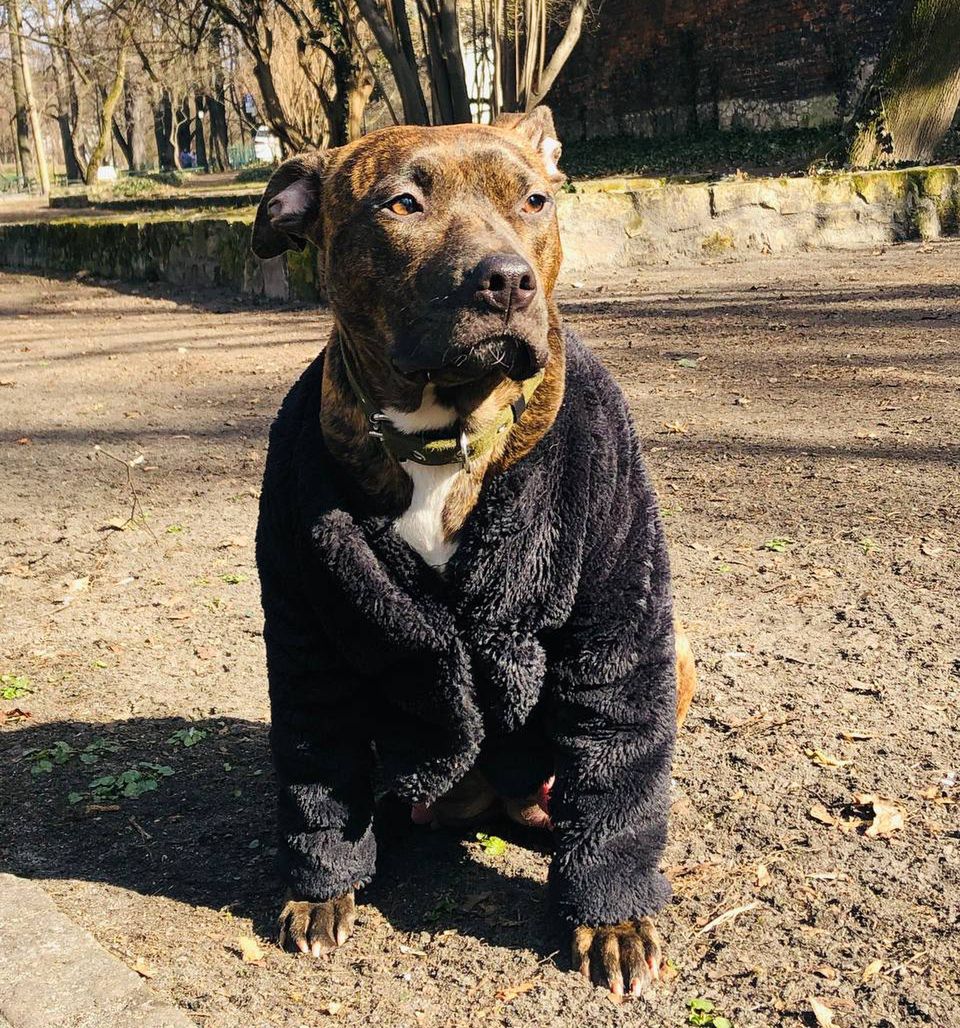 Karolina marznie, więc Angelika zakłada jej futerko.