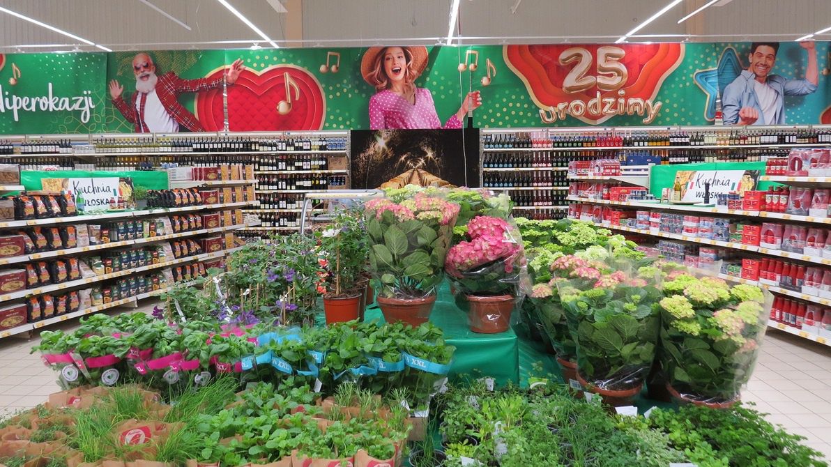 auchan