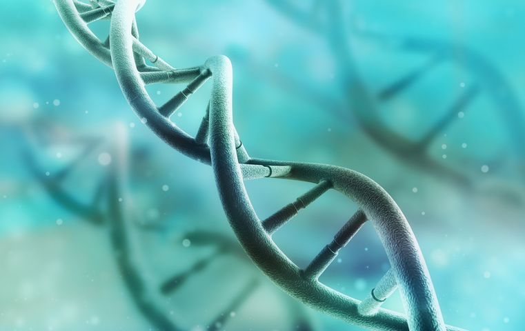 Naukowcy zmodyfikują genetycznie embrion ludzki