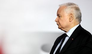 Spisek na Jarosława Kaczyńskiego. Prezes PiS go wykrył. "Młode wilki" rozbite