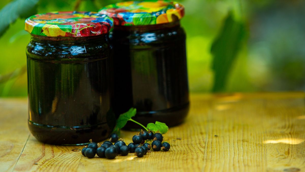 preserves, blackcurrant jam, seasonal berries, vitamins, food, dessert
blackcurrant jam
YURII SEMYDOTSKYI