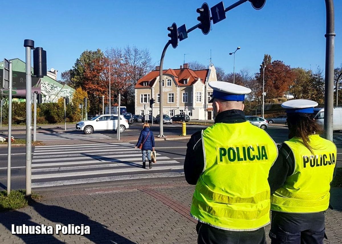 Mamy problem na pasach. Więcej potrąceń, winni są kierowcy