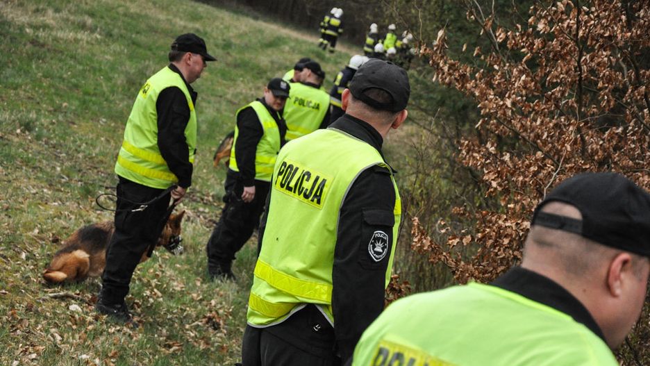 Poszukiwania w lesie. Zdjęcie ilustracyjne