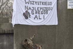 Urodziny niedźwiadków w warszawskim ZOO. "Najbardziej spodobał się udziec wołowy" [GALERIA]