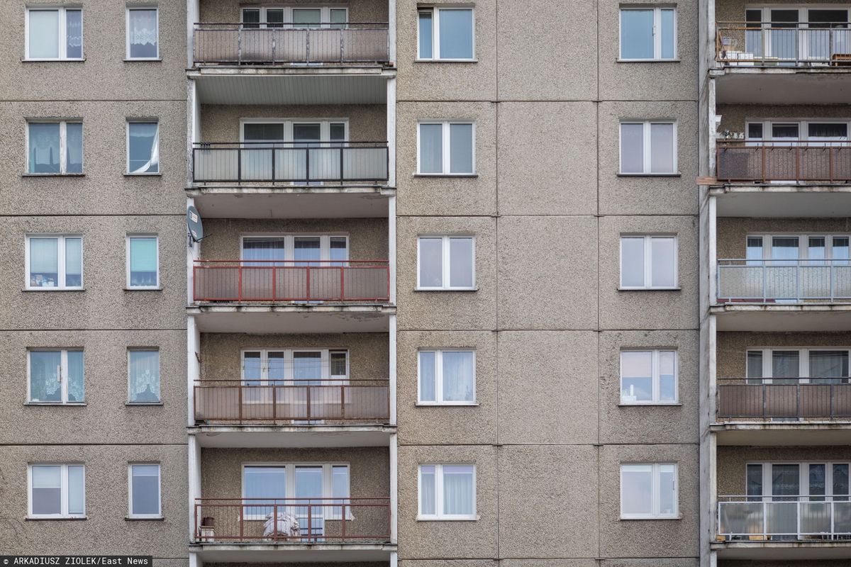 Wrocław. Jak dobrze mieć sąsiada. Gdzie mieszkają najlepsi?