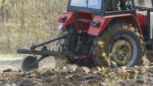 "Grozi za to grzywna 1500 zł". Burmistrz apeluje do rolników