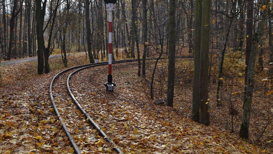 wąskotorówka