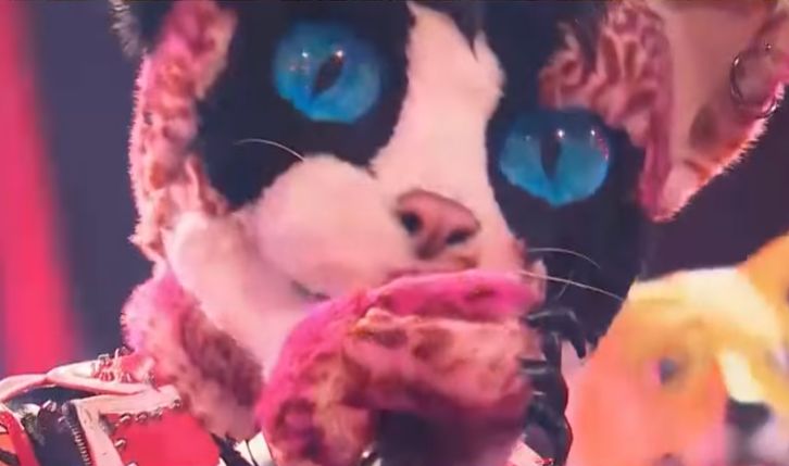 "Mask Singer". Kogo teraz obstawiają widzowie? Oto ich typy! 