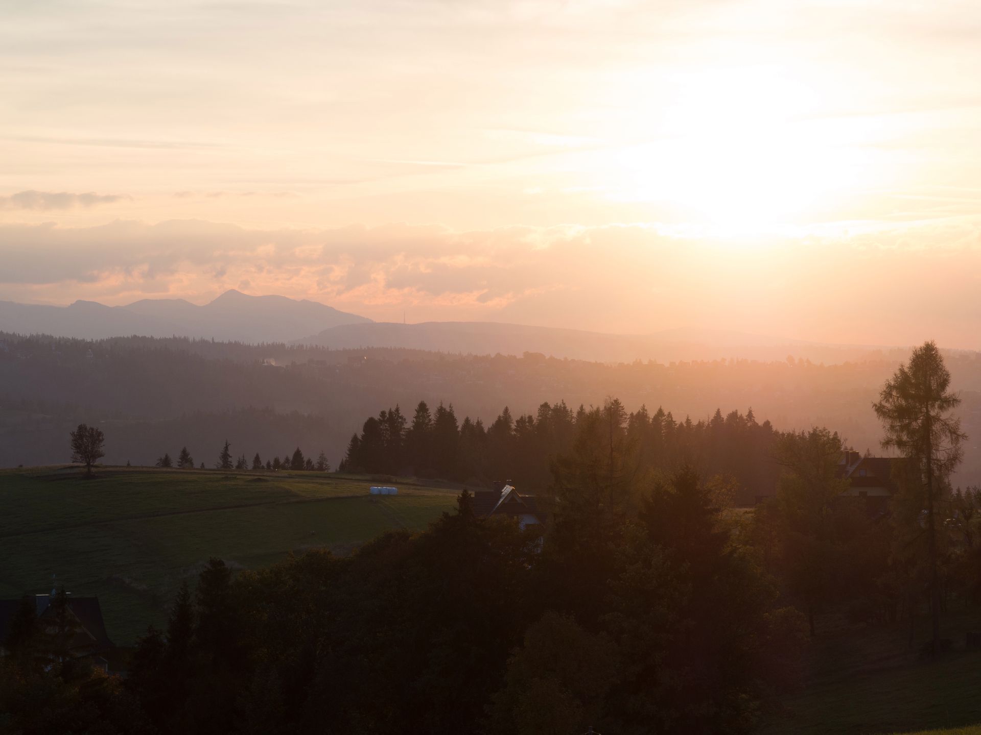 Olympus OM-D E-M10 Mark III - test nowego bezlusterkowca dla amatorów 48