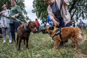 Co robić w Krakowie w weekend? Targi Unikatów, piknik rowerowy i inne