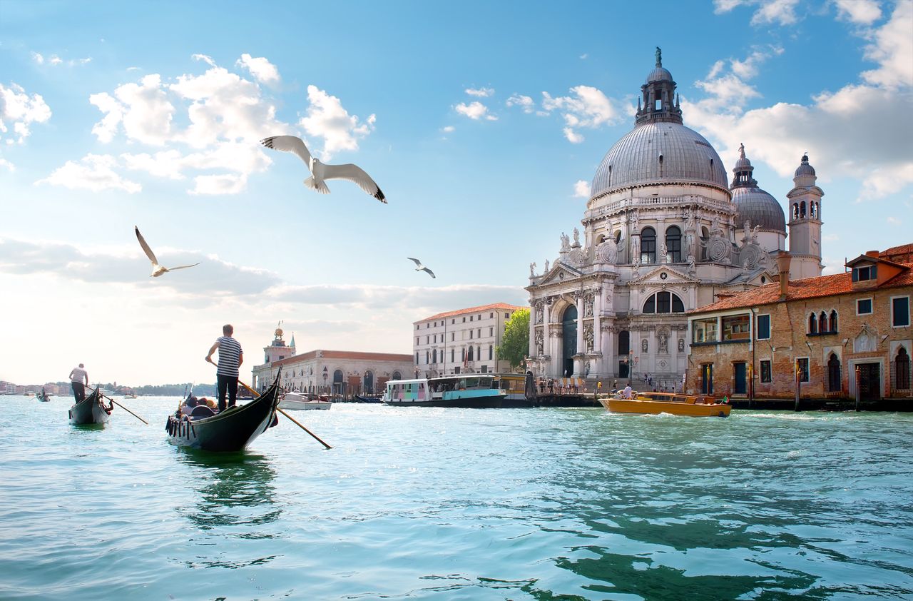 Mewy nad słynnym Canal Grande w Wenecji, w tle bazylika Santa Maria della Salute 